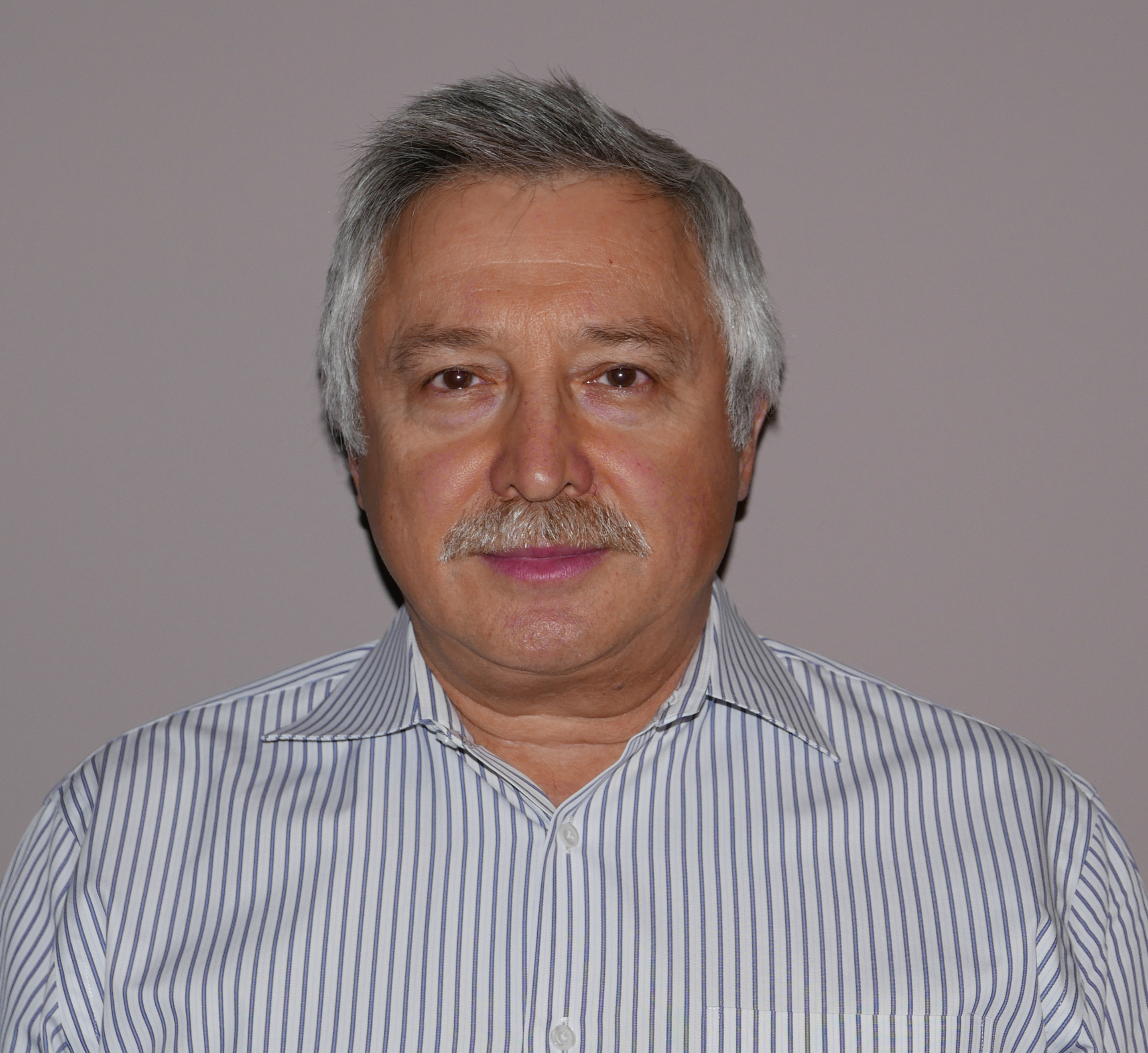 Николай горелик
